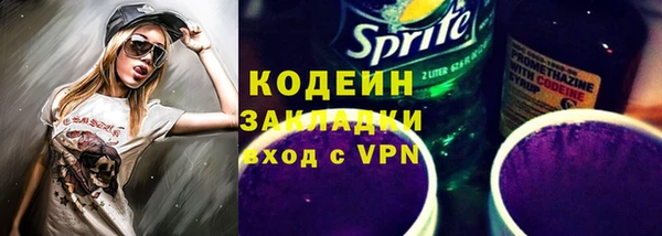 прущие грибы Дмитров