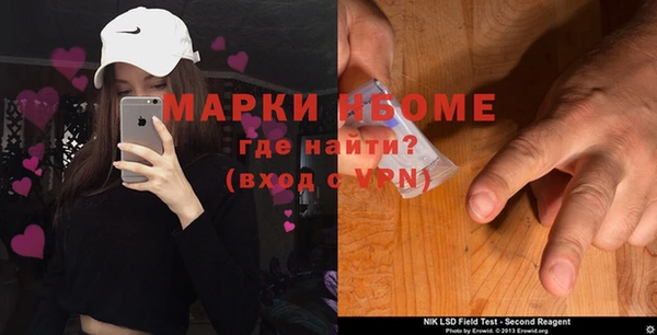 прущие грибы Дмитров