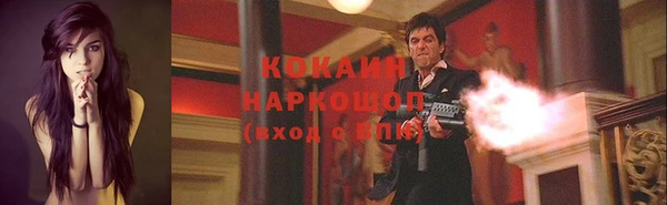 a pvp Дмитриев