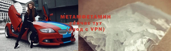 прущие грибы Дмитров