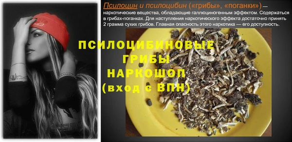 амф Гусь-Хрустальный
