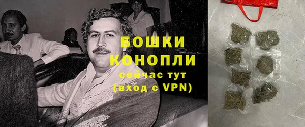 прущие грибы Дмитров