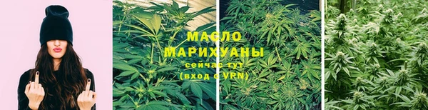 прущие грибы Дмитров