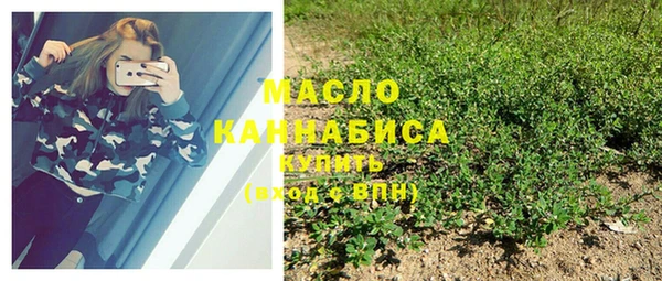 прущие грибы Дмитров