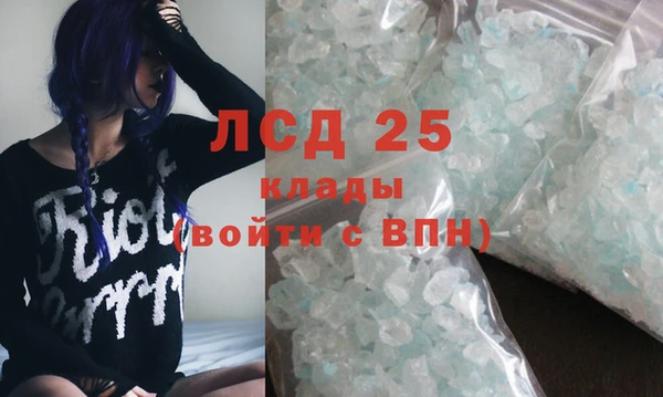 прущие грибы Дмитров