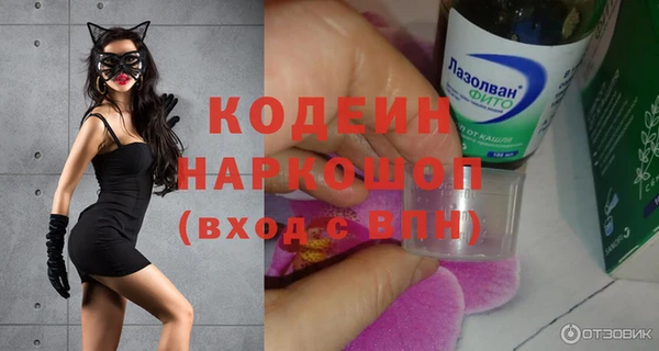 прущие грибы Дмитров