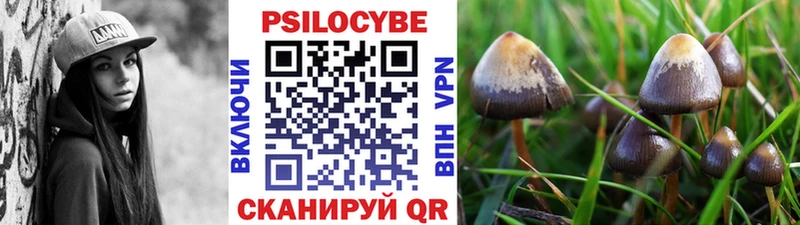 Галлюциногенные грибы прущие грибы  закладка  Зея 
